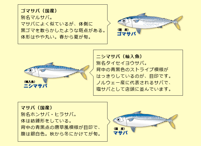 ひむか本サバ 宮崎のさかなビジネス拡大協議会