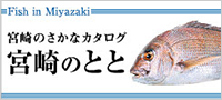 宮崎のとと
