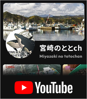 宮崎のととch