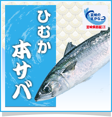 ひむか本サバ