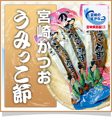 宮崎かつお うみっこ節