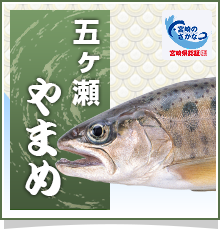 五ヶ瀬やまめ