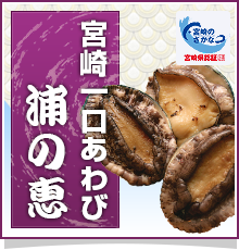 宮崎一口あわび 浦の恵