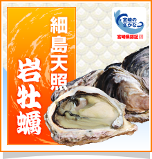 細島天照 岩牡蠣