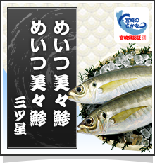 めいつ美々鯵・めいつ美々鯵三ツ星